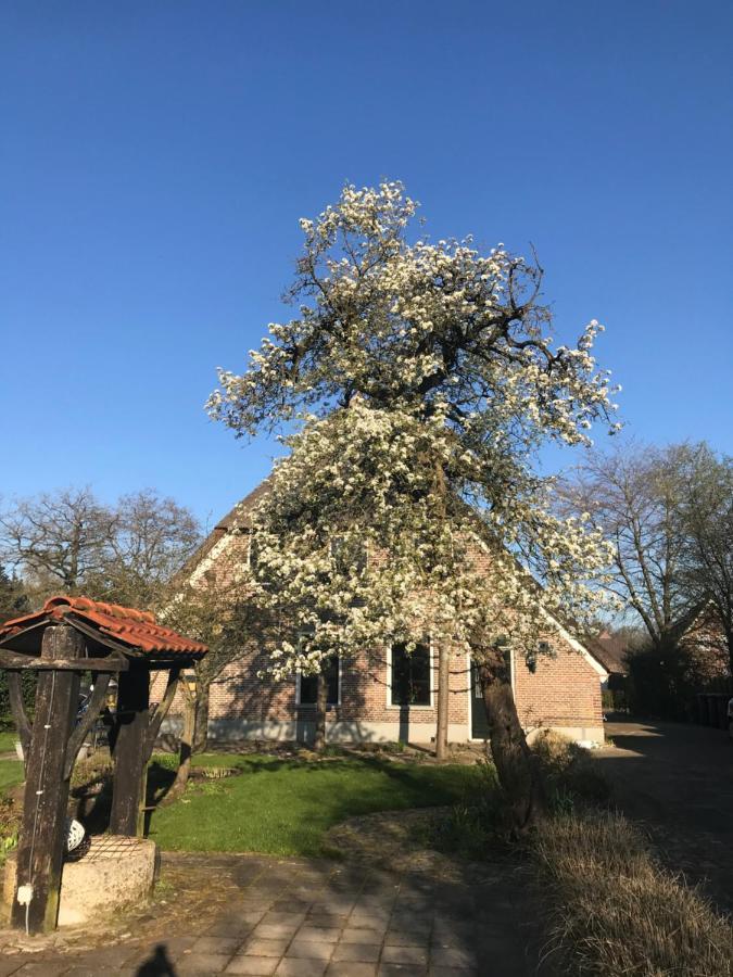Appartement "In De Wolken" In Gees Exterior photo